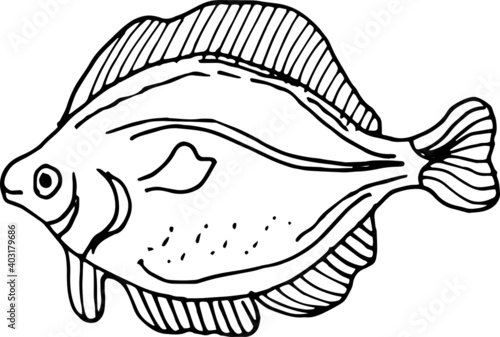 
Sea food, fish, shellfish, crabs, delicacies. Graphic illustration hand-drawn, doodle, sketch, engraving. Print, textiles, paper.