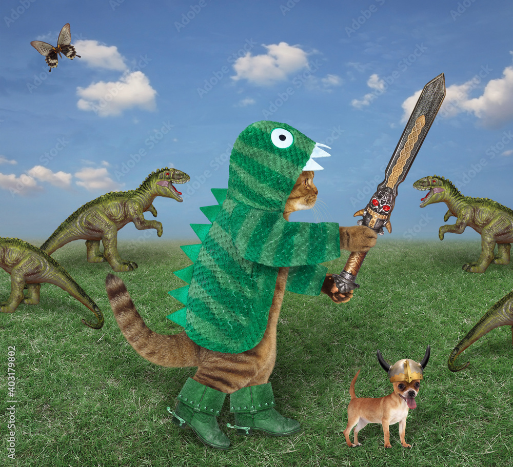 Dragon abbigliamento hot sale