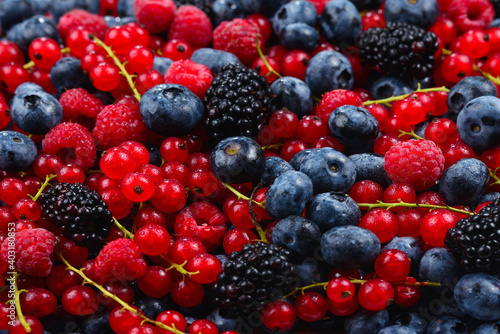 Blackberry  raspberry  blueberry   red currant and mint background.