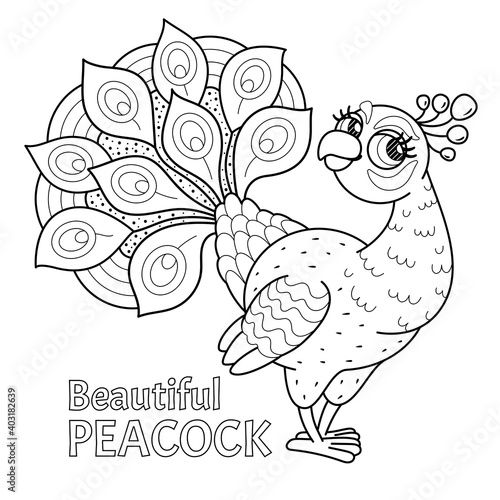 Children's coloring book beautiful peacock.