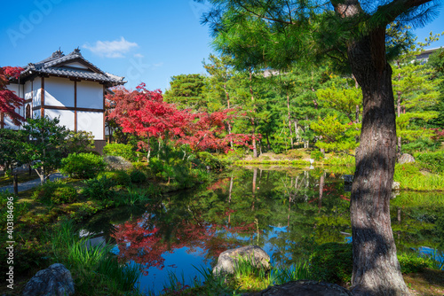 京都　等持院の紅葉　 © Route16