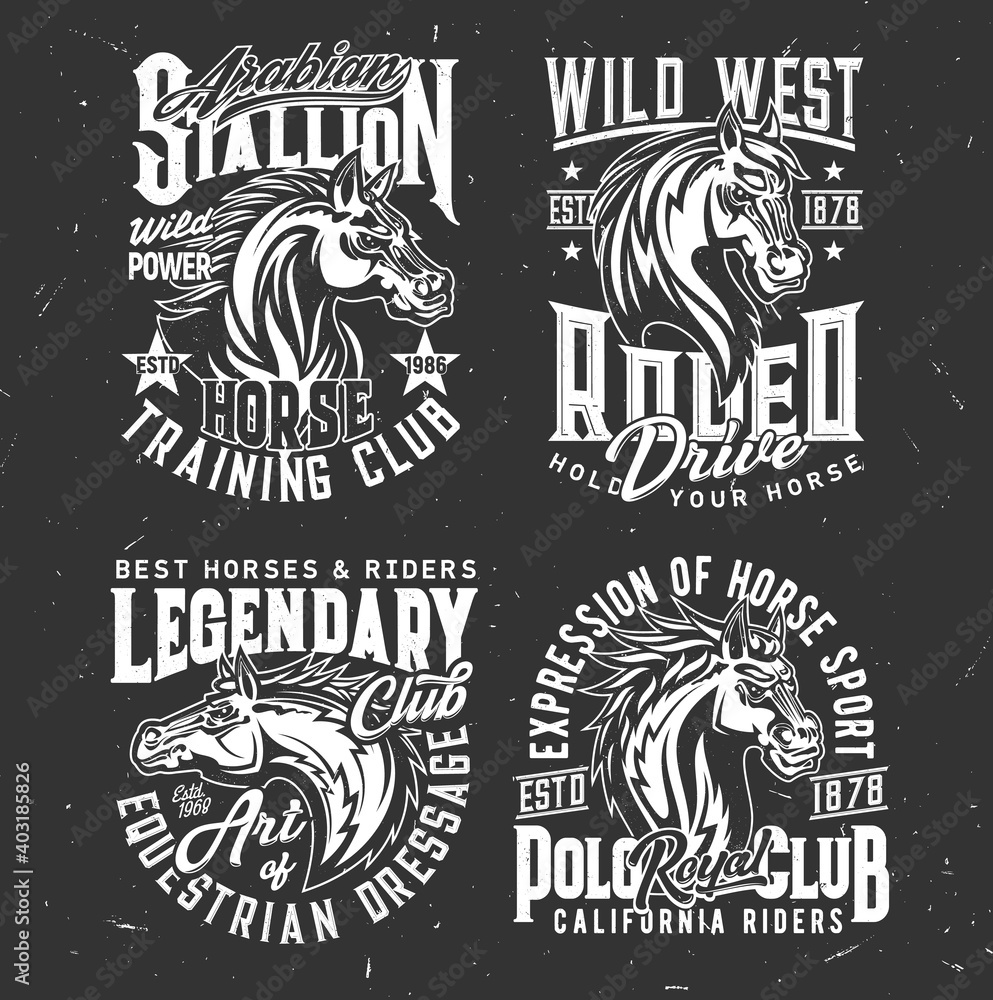 Tshirt prints with horse stallion heads, equestrian dressage, polo sport club vector mascots. Mare animal, horse and typography on black grunge background. Bronco racing sports team t shirt prints set