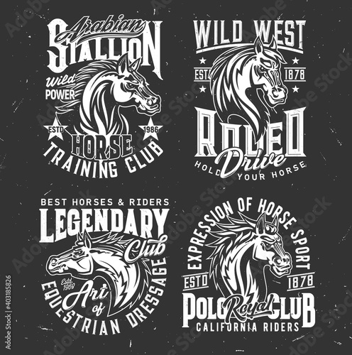 Tshirt prints with horse stallion heads, equestrian dressage, polo sport club vector mascots. Mare animal, horse and typography on black grunge background. Bronco racing sports team t shirt prints set