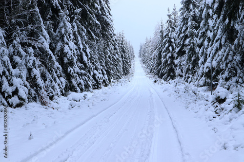 snowy path for cross-country skiers