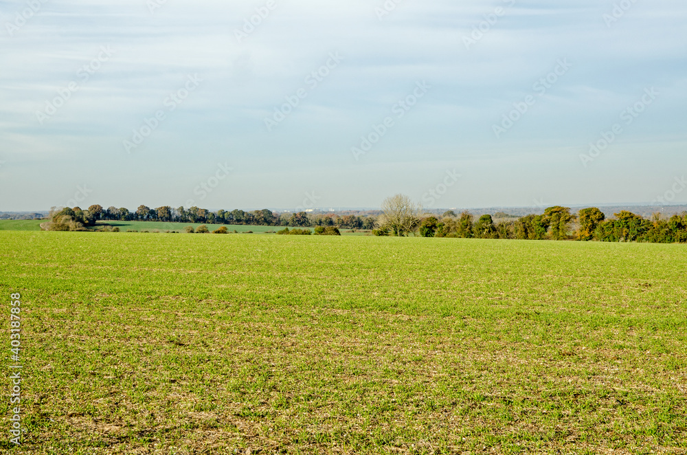 View across fields in Hampshire towards AWE Aldermaston