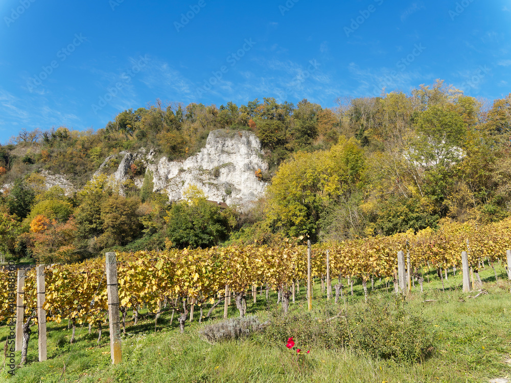 Istein Herbstlandschaft im Baden-Württemberg. Weinreben am Fuße von Kalksteinfelsen am Fuße des Isteiner Klotz