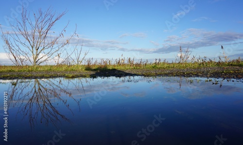 K  stenlandschaft an der Nordsee. K  ste im Winter bei sonnigem Wetter.