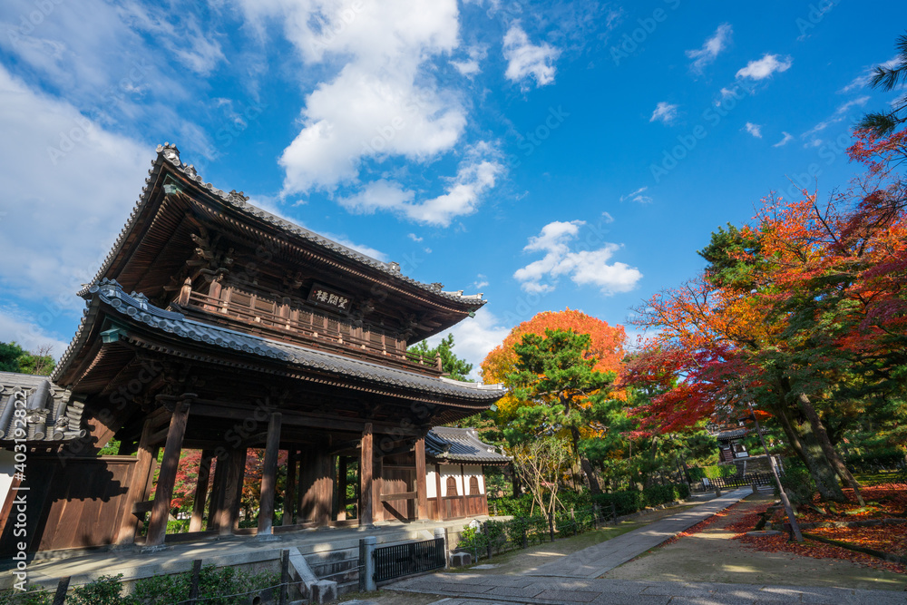 京都　建仁寺の三門と紅葉