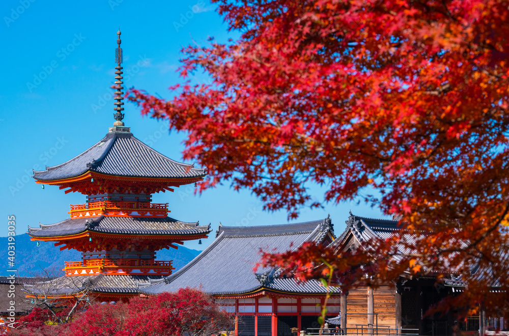Fototapeta premium 京都 清水寺の三重塔と紅葉