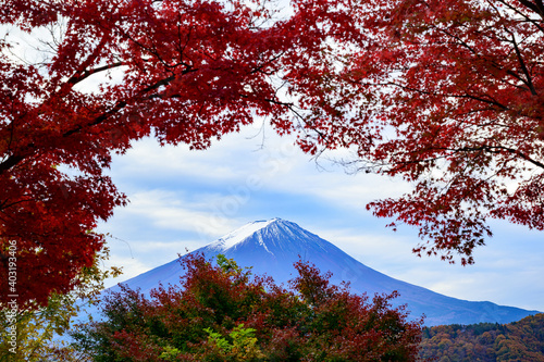 もみじの間の富士山