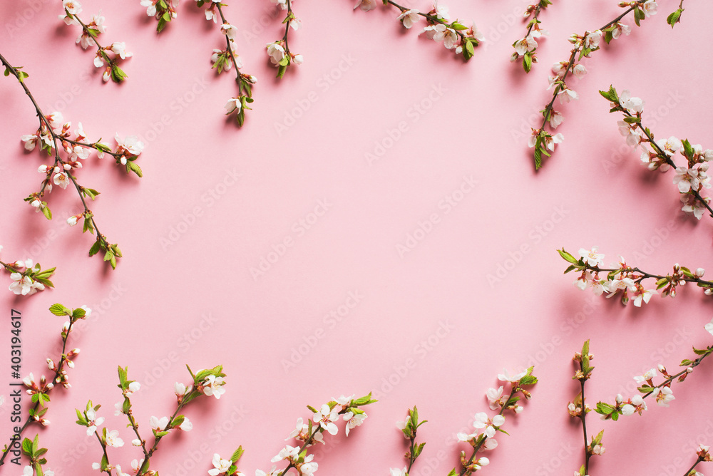 Twigs with flowers on pink background, frame Twigs with flowers on pink background, frame