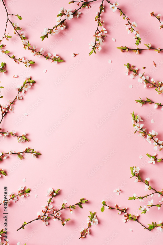 Twigs with flowers on pink background, frame