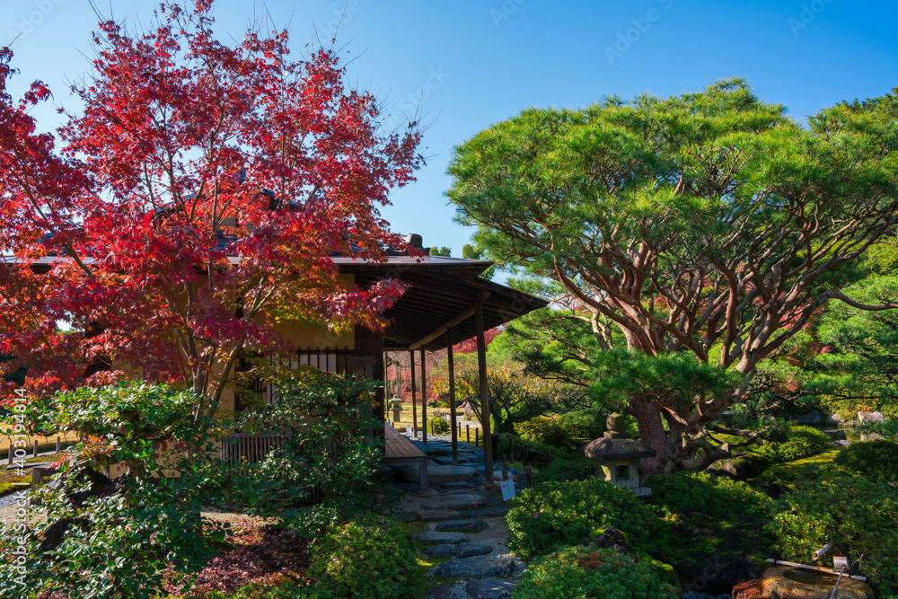 京都　城南宮の紅葉　室町の庭