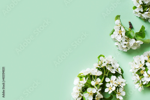 Apple flowers flat lay, summer and spring time creative pastel concept