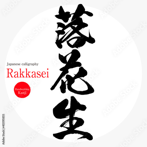 落花生・Rakkasei（筆文字・手書き）