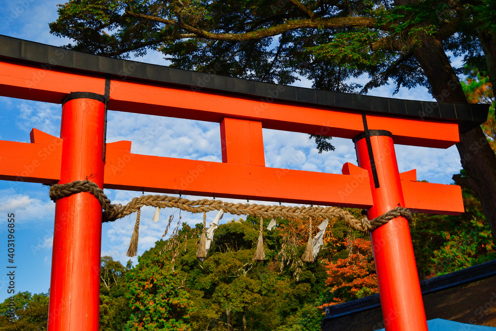 京都 青空に映える上賀茂神社の赤い鳥居 コピースペースあり(日本京都府京都市)Kyoto: The red torii gate of Kamigamo Shrine shines against the blue sky, with copy space (Kyoto City, Kyoto Prefecture, Japan) 京都 青空に映える上賀茂神社の赤い鳥居 コピースペースあり(日本京都府京都市)Kyoto: The red torii gate of Kamigamo Shrine shines against the blue sky, with copy space (Kyoto City, Kyoto Prefecture, Japan)