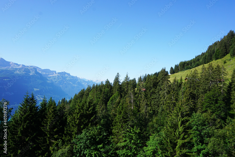 Landschaft in der Nähe vom Rothorn in der Schweiz mit Bergen und Wald.