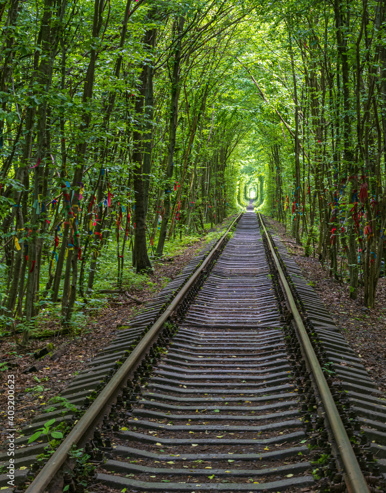 Love Tunnel (Railway section located in forest near Klevan, Ukraine. So named because before by this way girls from a nearby village and soldiers from a former military unit went on a dates). Love Tunnel (Railway section located in forest near Klevan, Ukraine. So named because before by this way girls from a nearby village and soldiers from a former military unit went on a dates).