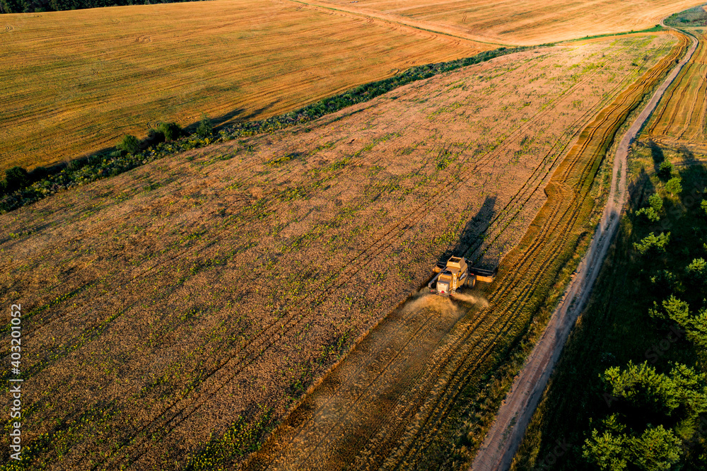 Obraz premium Ukraine. Harvest at sunset