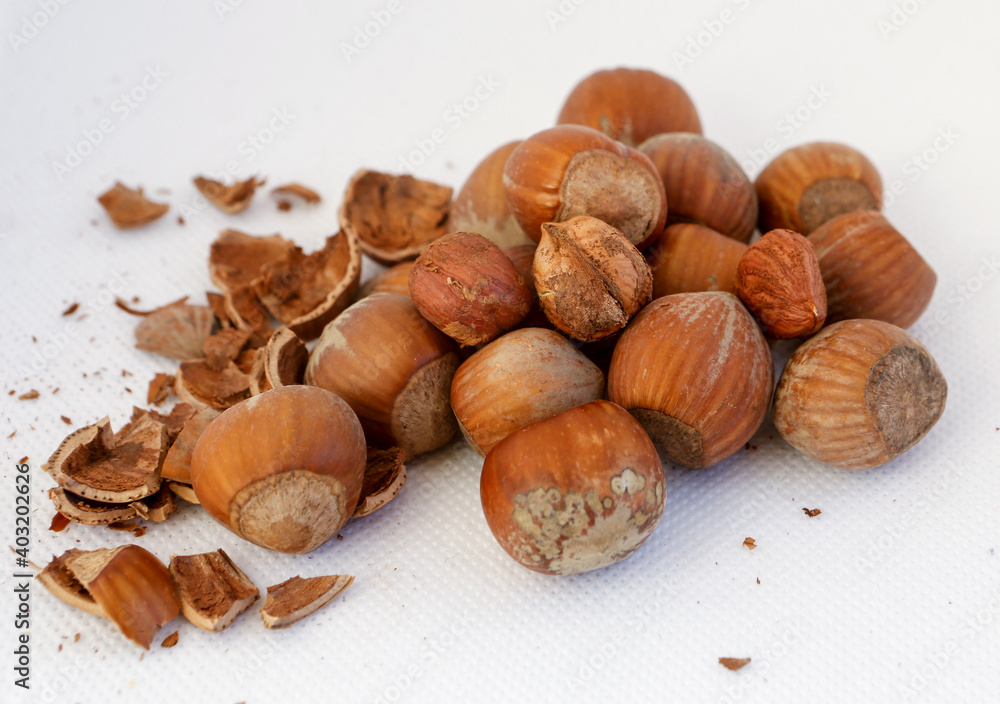 Hazelnuts, some of them shelled, on a white background. Hazelnuts, some of them shelled, on a white background.