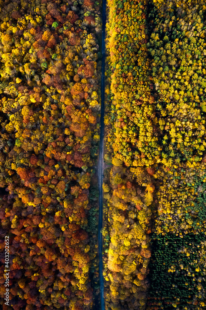 Autumn landscapes of Brzezany region, Ukraine Autumn landscapes of Brzezany region, Ukraine