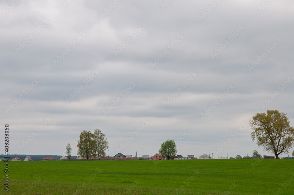 Green field with rural houses and trees in the distance Green field with rural houses and trees in the distance
