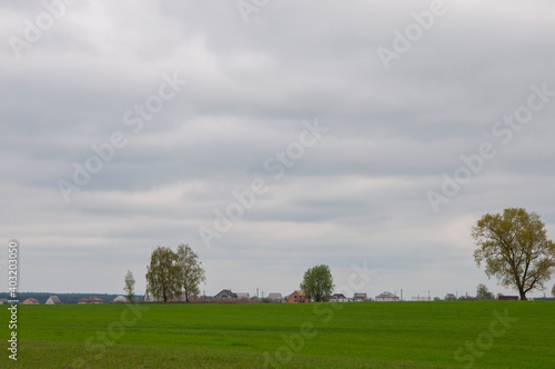 Green field with rural houses and trees in the distance