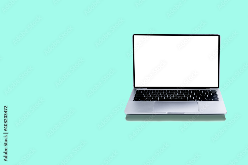 Laptop and mock up screen on green background Laptop and mock up screen on green background