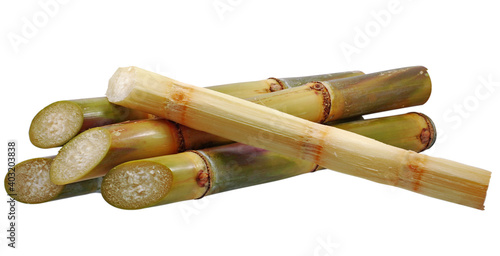 Siingle object of Sugar cane isolated on white background
