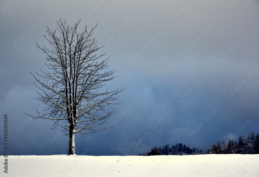 Winterlandschaft in St. Peter im Schwarzwald Winterlandschaft in St. Peter im Schwarzwald