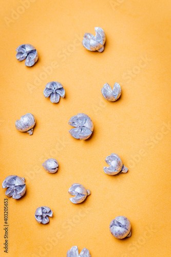 Wallpaper Mural Dried and painted silver leaves on a gold background. Torontodigital.ca