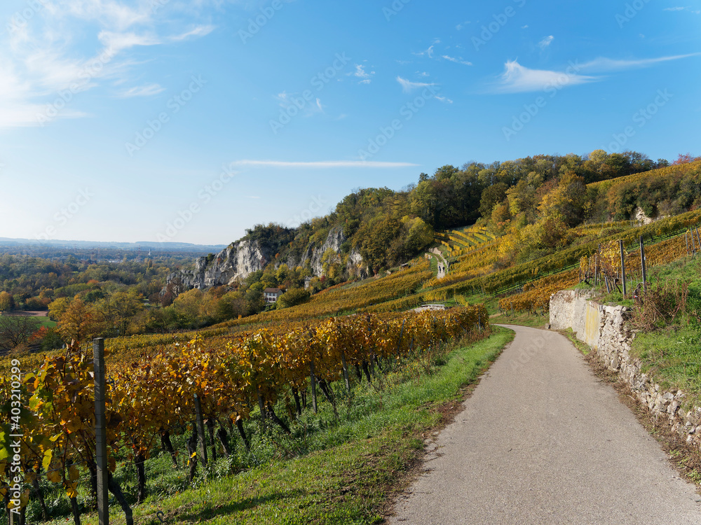 Istein - Efringen-Kirchen. Herbstlandschaft. Weinreben am Fuße von Kalksteinfelsen am Fuße des Isteiner Klotz