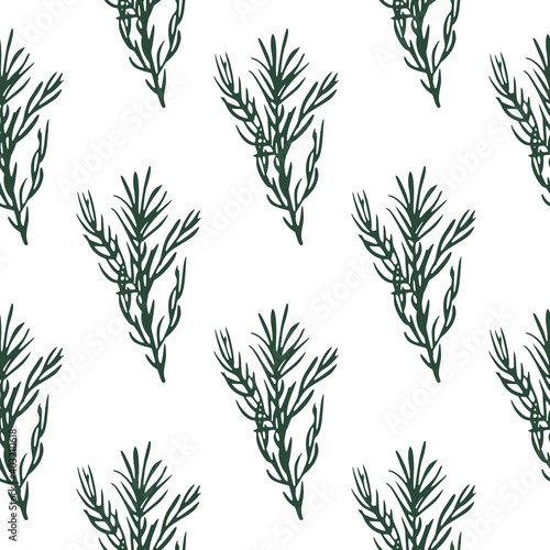 Seamless pattern with green rosemary branch elements. White background. Isolated nature backdrop.