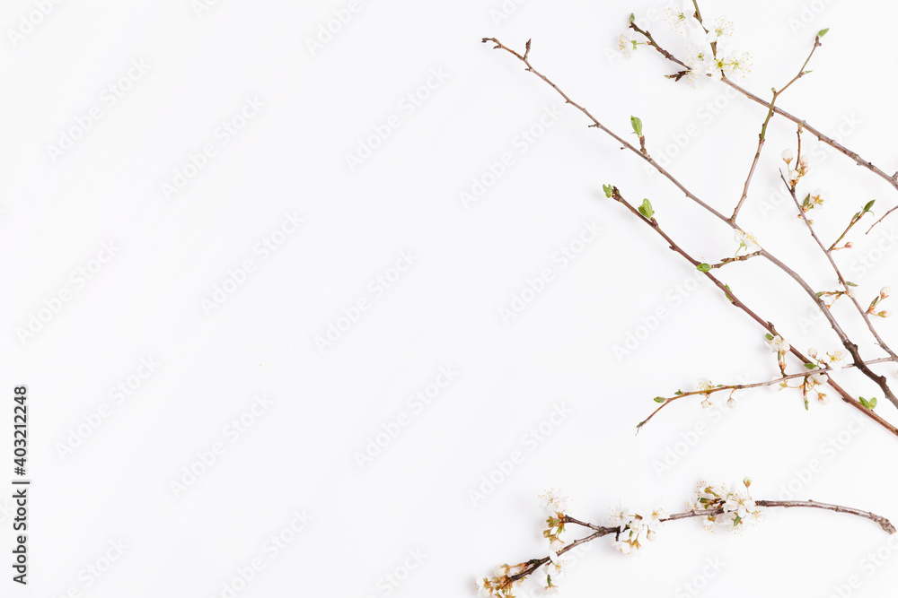 Fototapeta premium Springtime background with cherry blossom twigs on white desktop, top view, frame, flat lay