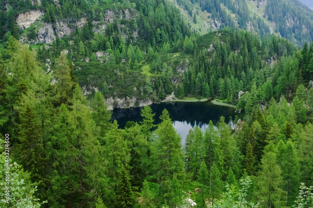 beautiful clear mountain lake between trees and hills