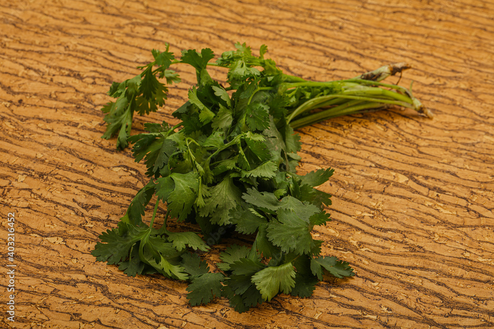 Green coriander or cilanto leaves heap Green coriander or cilanto leaves heap