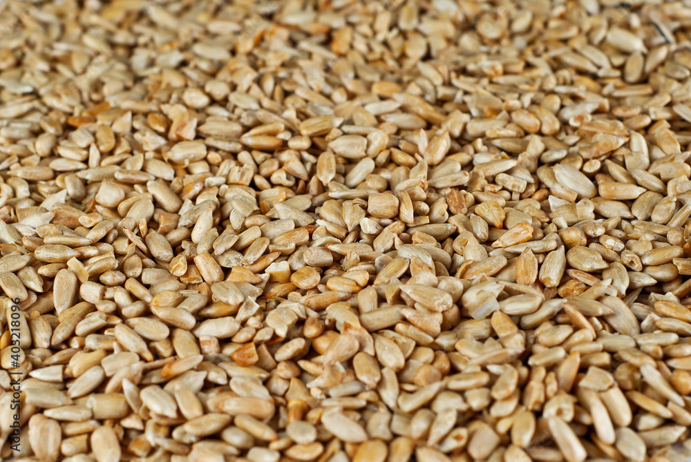 Peeled sunflower seeds close up. Seed texture. Lots of seeds in a pile. Peeled sunflower seeds close up. Seed texture. Lots of seeds in a pile.