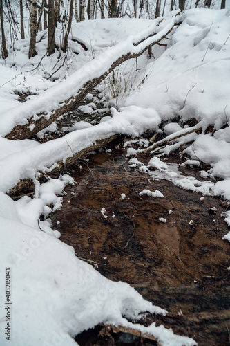 Stream running through snow and ice in wooded area.
