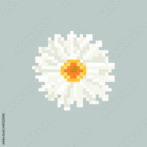 Aster flower in pixel art vector illustration