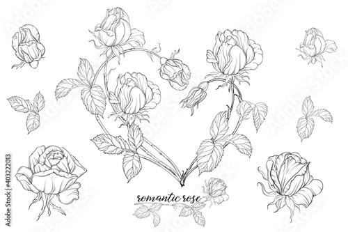Vector set of flower compositions with rose flowers.Heart of flowers.