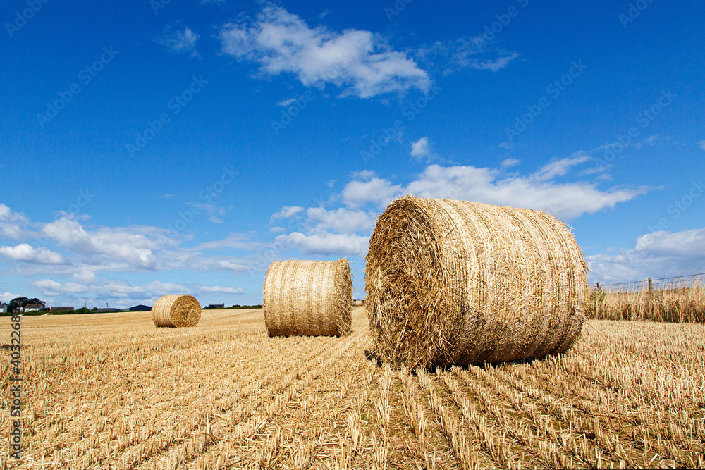 Bales of hay on a farm with summer blue sky background - harvest time in UK