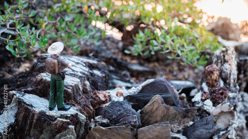 Miniature figure : A male explorer stands looking at the scenery and nature surrounding the tropical forest.