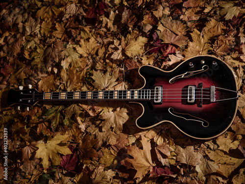 Orpheus, stylish vintage bass guitar on autumn leafs background  photo