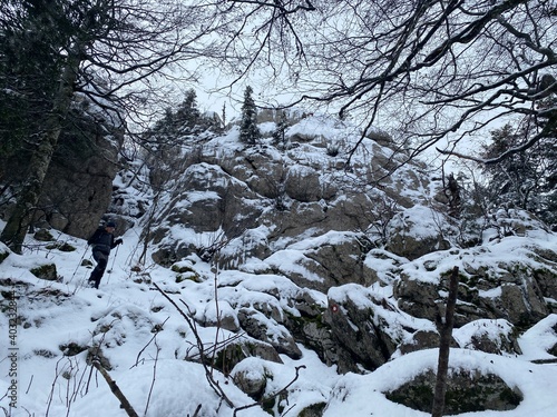 Bijele and Samarske rocks landscape in Gorski kotar, Croatia photo