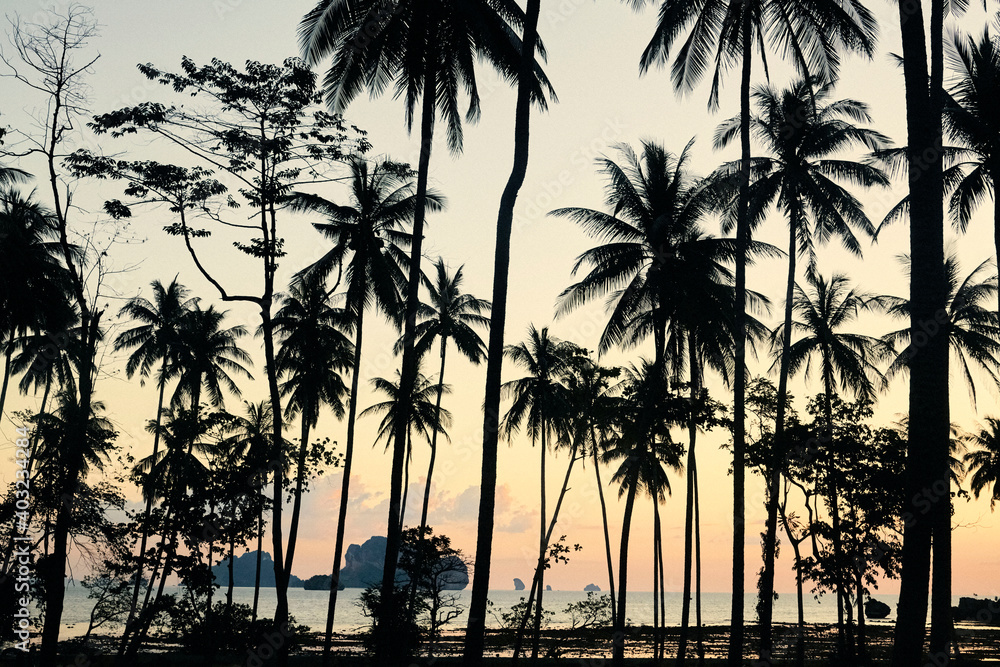 Palm sunset, Krabi