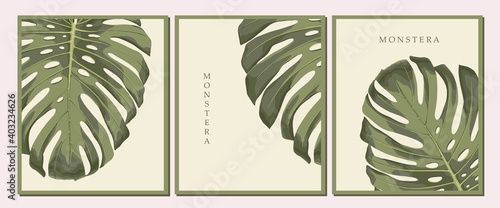 Set of backgrounds with green exotic tropic leaves. Wall art brochure, card design.