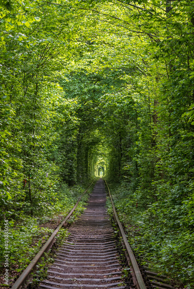 Love Tunnel (Railway section located in forest near Klevan, Ukraine. So named because before by this way girls from a nearby village and soldiers from a former military unit went on a dates). Love Tunnel (Railway section located in forest near Klevan, Ukraine. So named because before by this way girls from a nearby village and soldiers from a former military unit went on a dates).