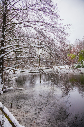 winter landscape with snow and a lake