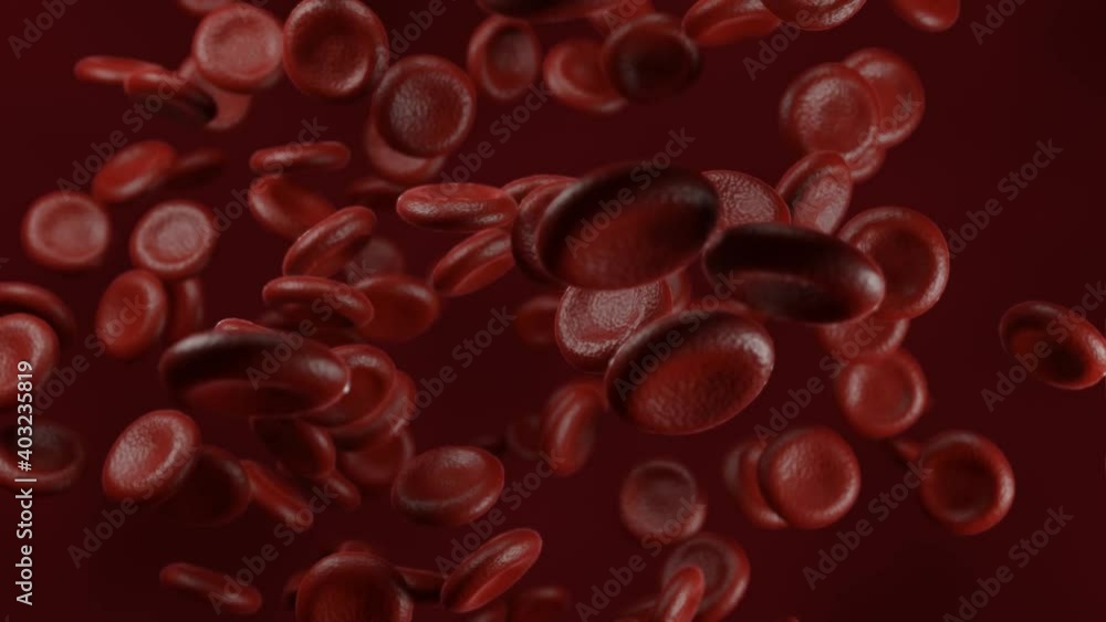 blood red cells flowing on red background. 3d rendered . close up, scientific concept blood red cells flowing on red background. 3d rendered . close up, scientific concept