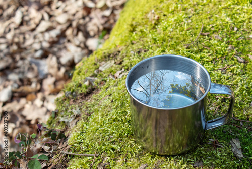 metal cup of water on a log in the forest
